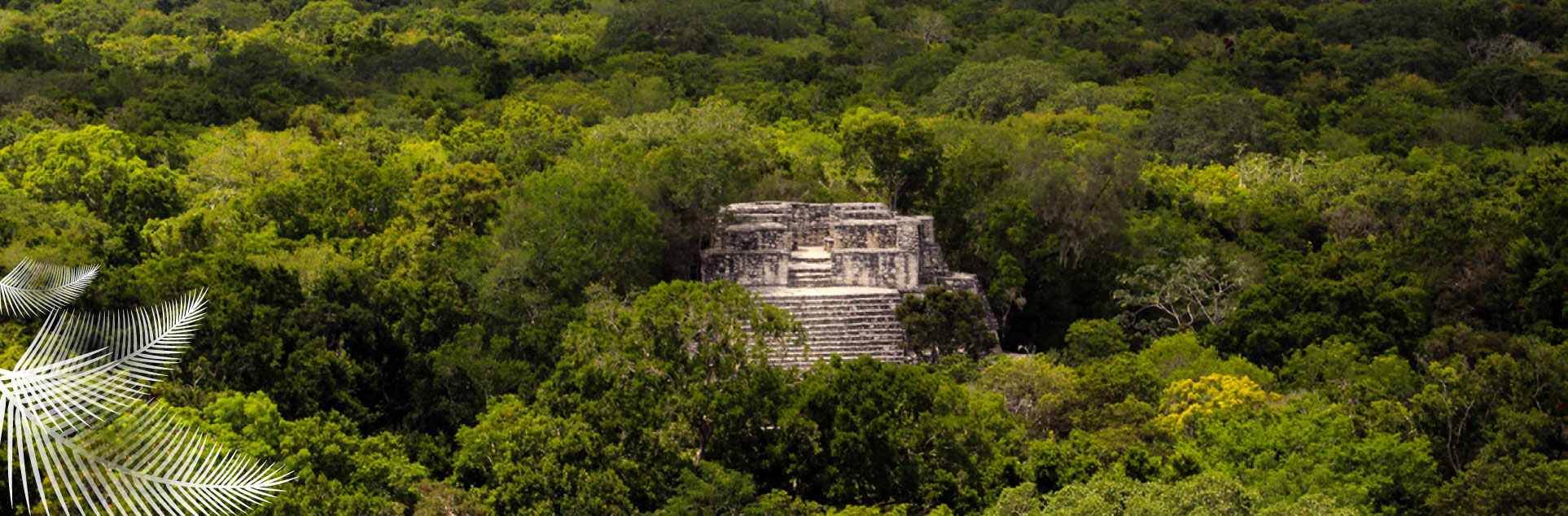 reserva-de-la-biosfera-calakmul